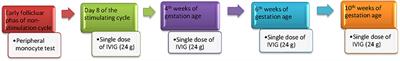 Peripheral CD56+CD16+ NK Cell Populations in the Early Follicular Phase Are Associated With Successful Clinical Outcomes of Intravenous Immunoglobulin Treatment in Women With Repeated Implantation Failure